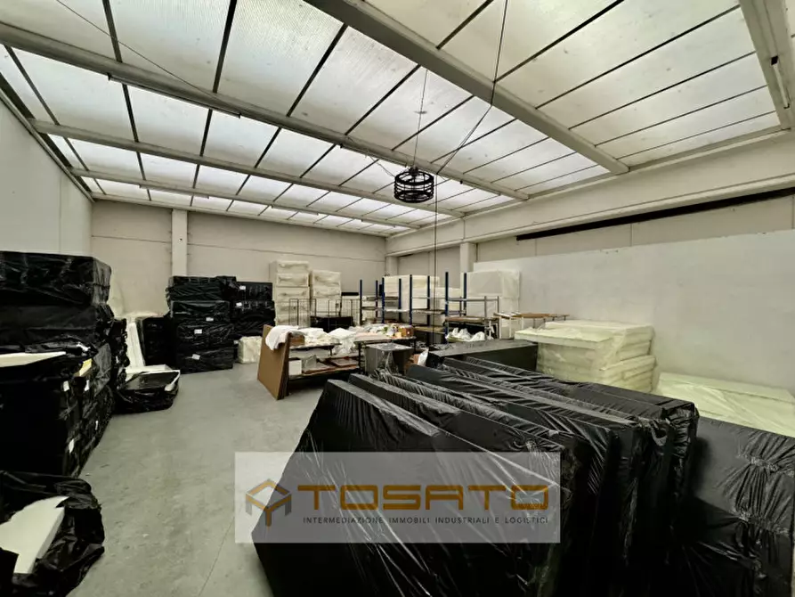 Immagine 4 di Capannone industriale in vendita  a Montagnana