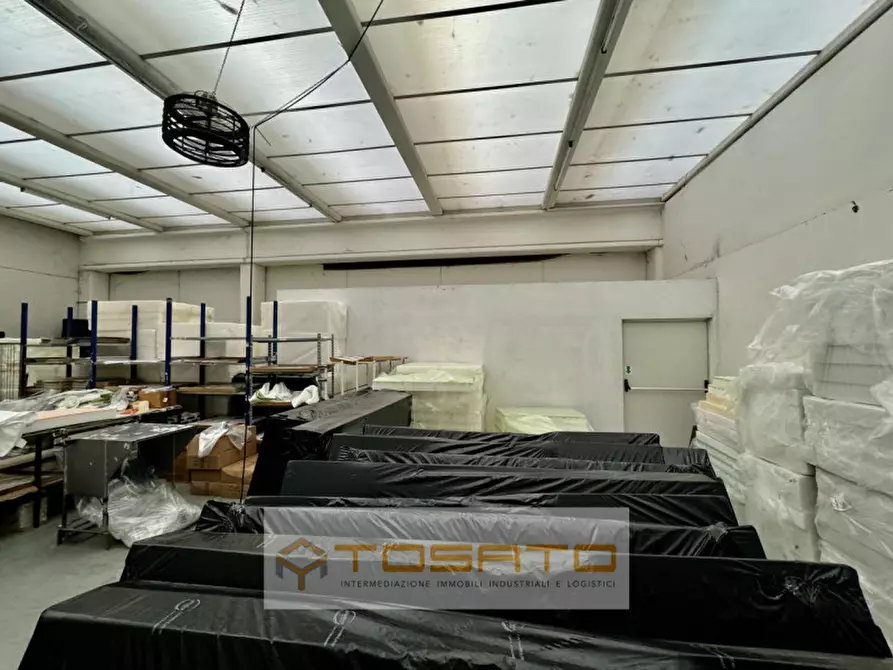 Immagine 5 di Capannone industriale in vendita  a Montagnana