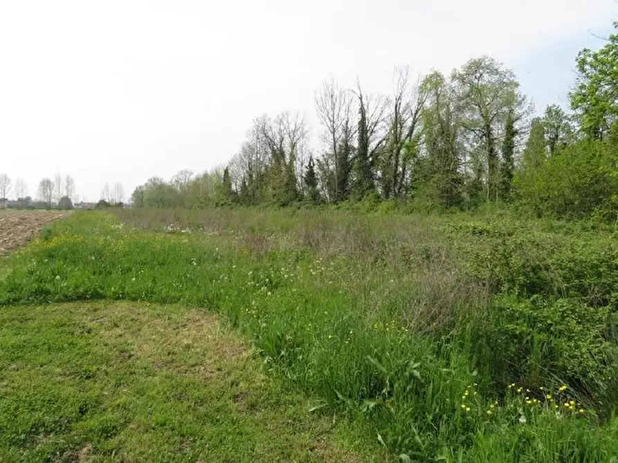 Immagine 1 di Terreno in vendita  in Via Cavin Caselle a Santa Maria Di Sala