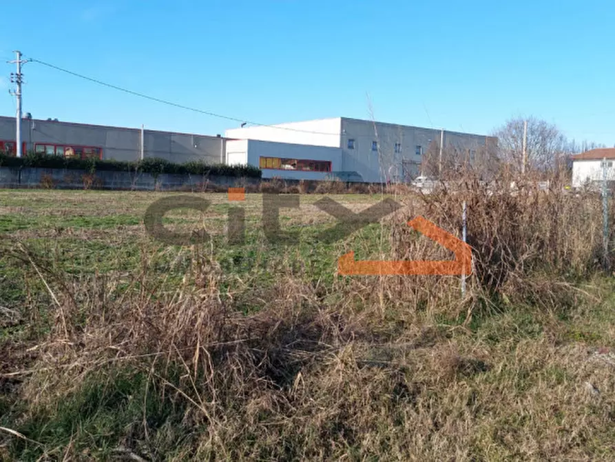 Immagine 3 di Terreno in vendita  a Cassola