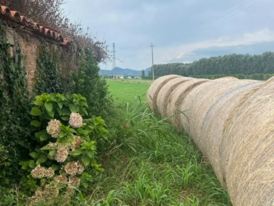 Immagine 1 di Rustico / casale in vendita  in Via Albere a Monselice