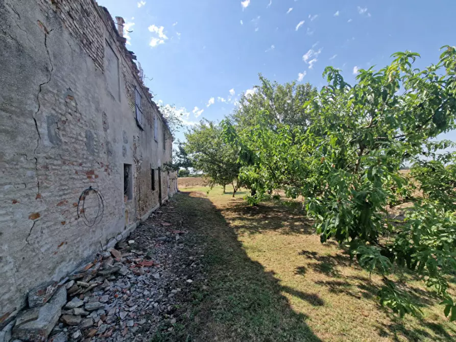 Immagine 1 di Rustico / casale in vendita  in Via Palavese a Ravenna