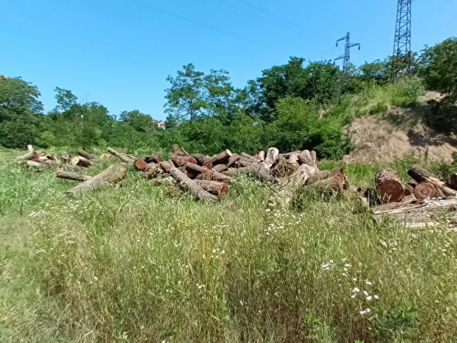 Immagine 2 di Terreno in vendita  a Cava Manara