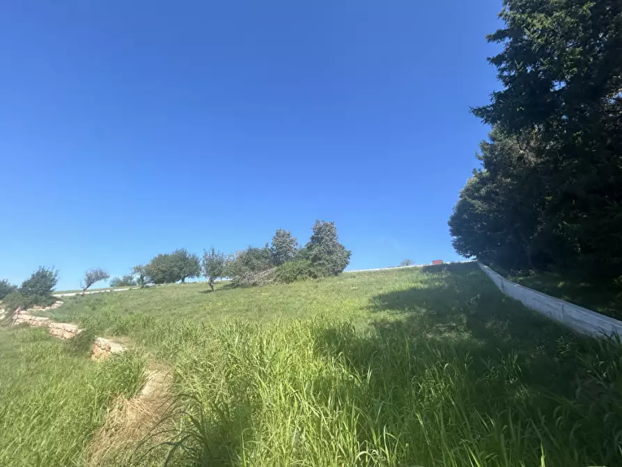 Immagine 1 di Terreno in vendita  in via lessini a Cerro Veronese