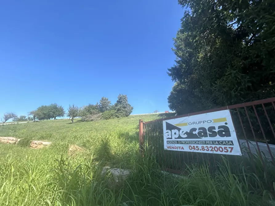 Immagine 3 di Terreno in vendita  in via lessini a Cerro Veronese