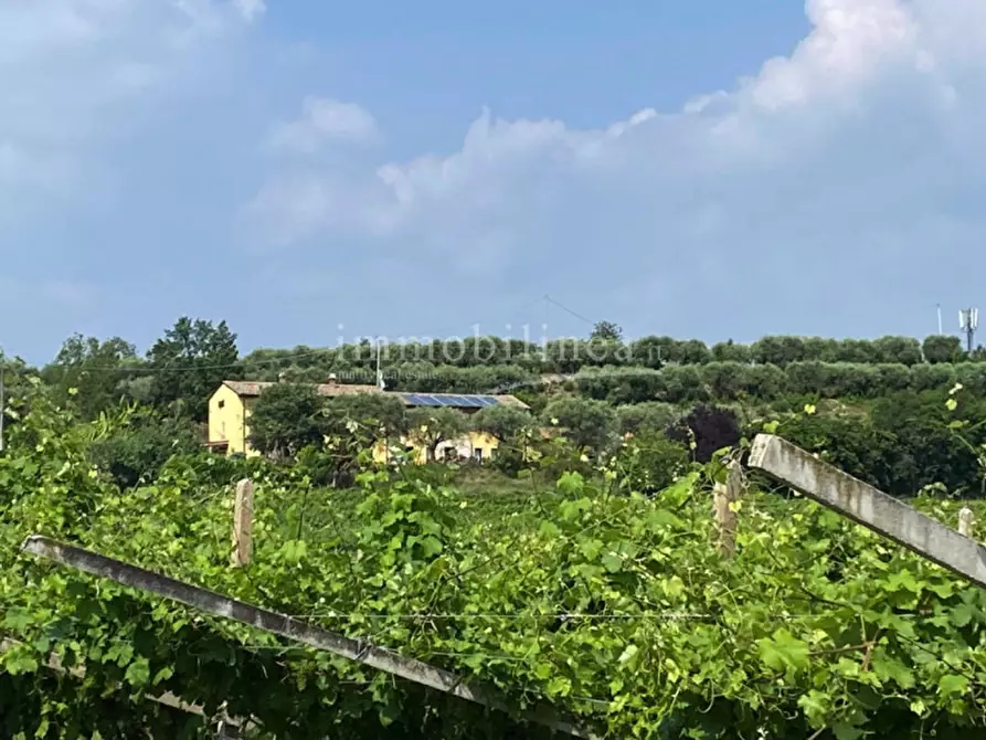 Immagine 12 di Rustico / casale in vendita  a Bardolino