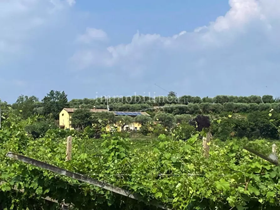 Immagine 12 di Rustico / casale in vendita  a Bardolino