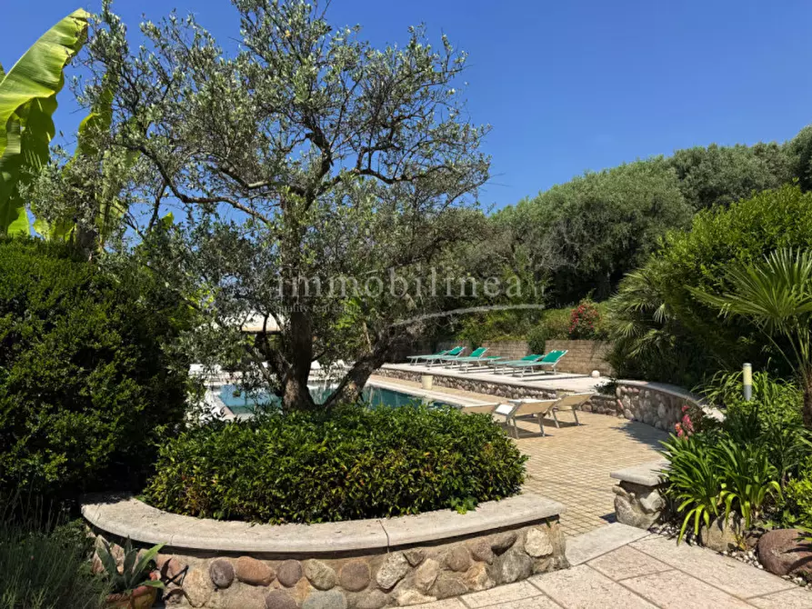 Immagine 13 di Rustico / casale in vendita  a Bardolino