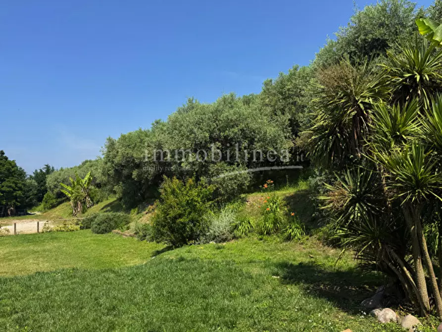 Immagine 43 di Rustico / casale in vendita  a Bardolino