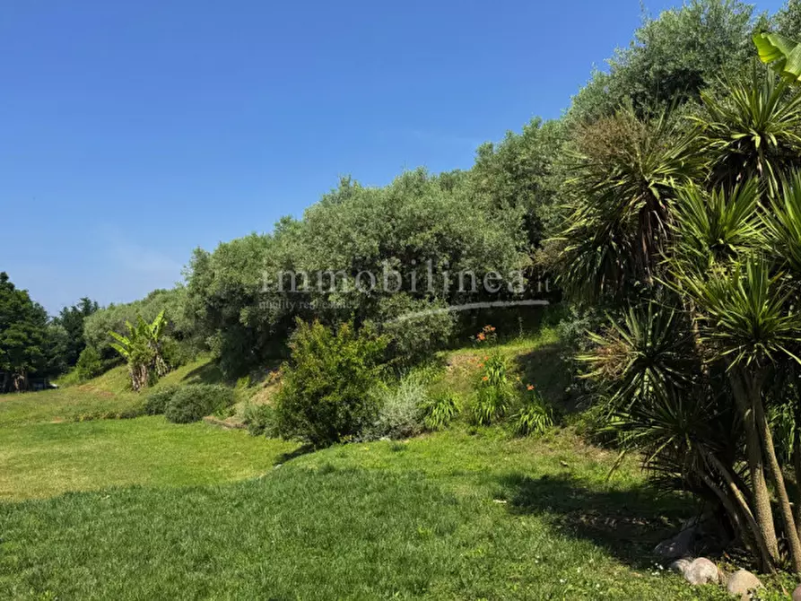 Immagine 44 di Rustico / casale in vendita  a Bardolino