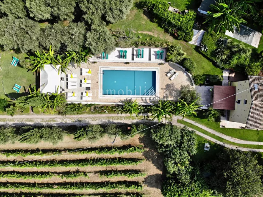 Immagine 53 di Rustico / casale in vendita  a Bardolino