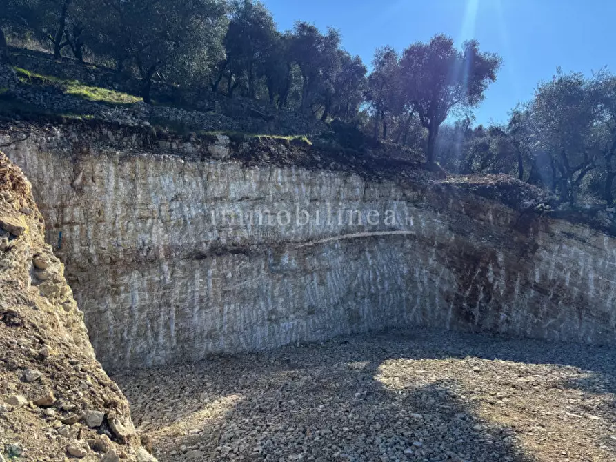 Immagine 13 di Villa in vendita  in Ca' Tronconi - Pai a Torri Del Benaco