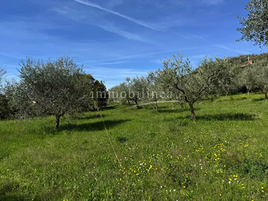 Immagine 1 di Terreno in vendita  a Caprino Veronese