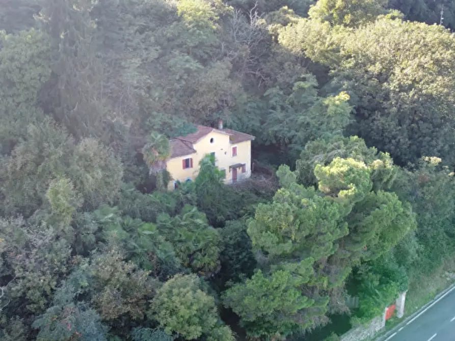 Immagine 6 di Villa in vendita  in Via Sempione sud 26 a Stresa