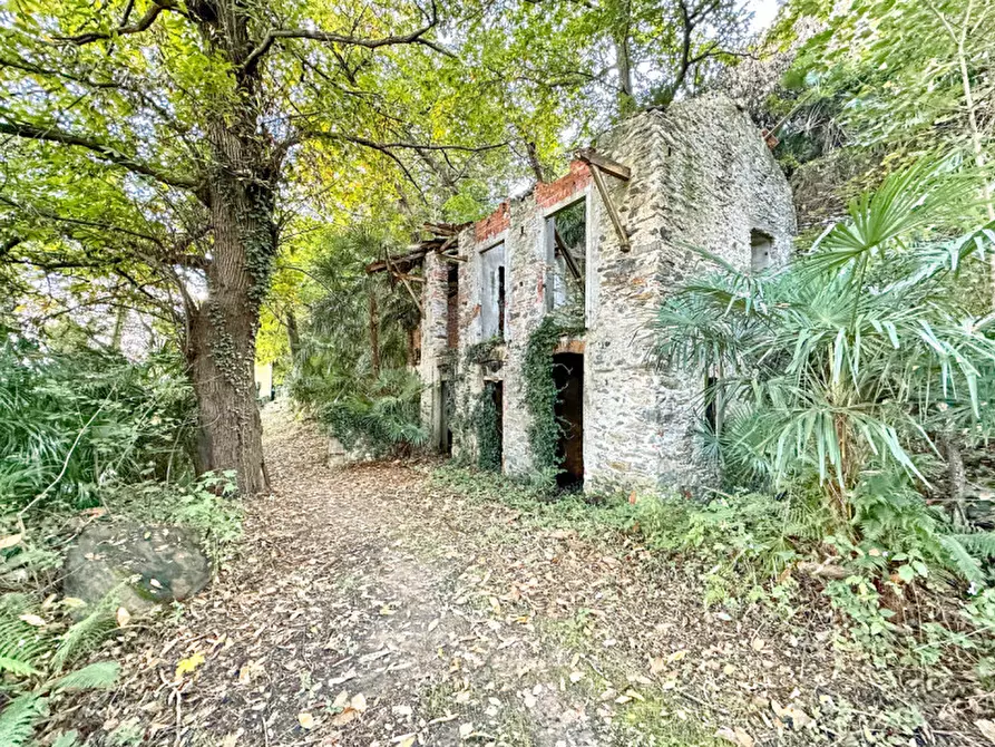 Immagine 12 di Villa in vendita  in Via Sempione sud 26 a Stresa