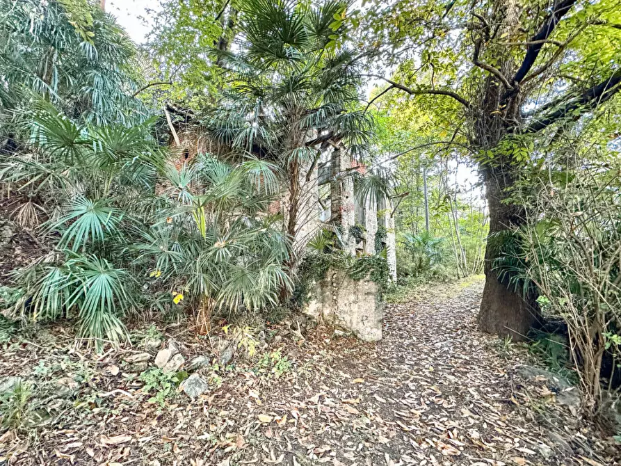 Immagine 14 di Villa in vendita  in Via Sempione sud 26 a Stresa