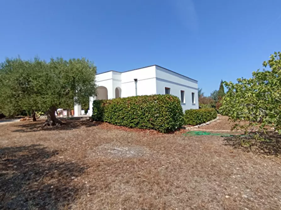 Immagine 8 di Villa in vendita  in 2T2 a Monopoli