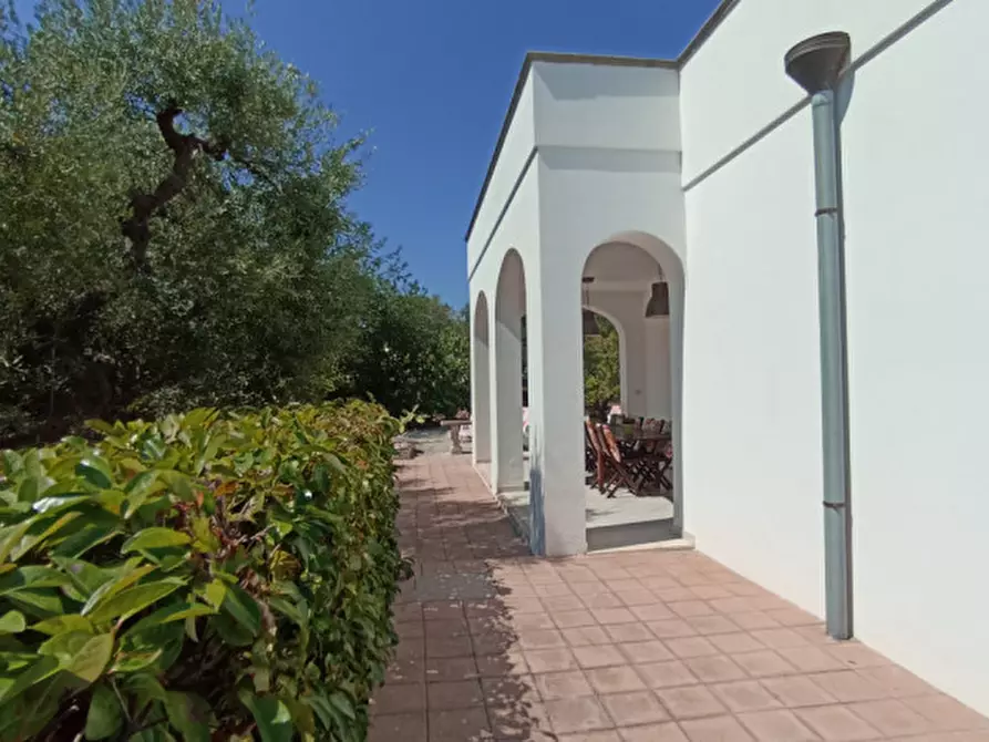 Immagine 11 di Villa in vendita  in 2T2 a Monopoli