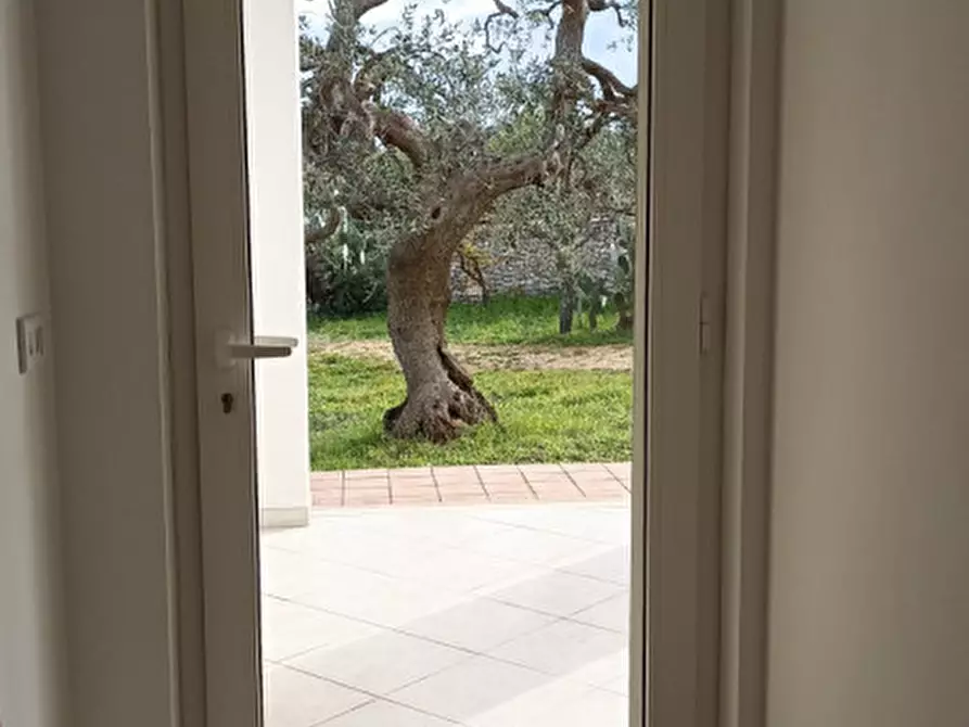 Immagine 27 di Villa in vendita  in 2T2 a Monopoli