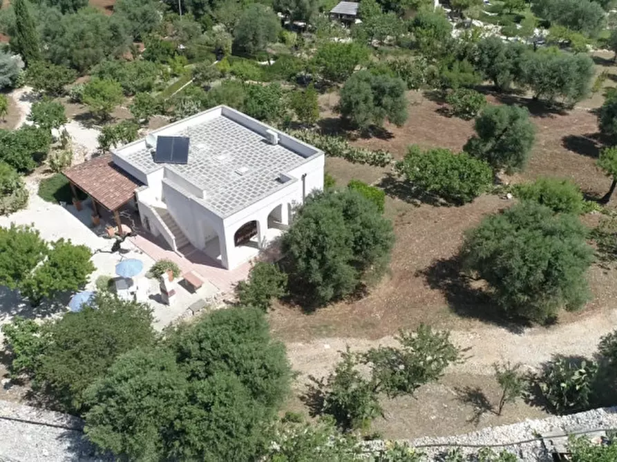 Immagine 36 di Villa in vendita  in 2T2 a Monopoli