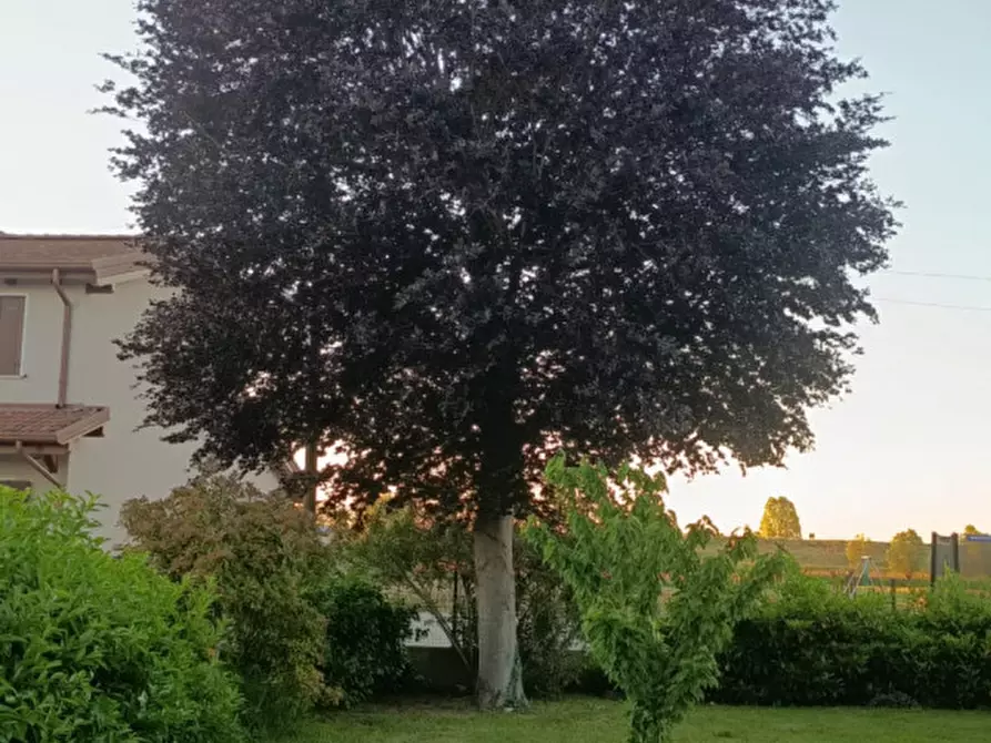 Immagine 24 di Casa bifamiliare in vendita  a Lusia