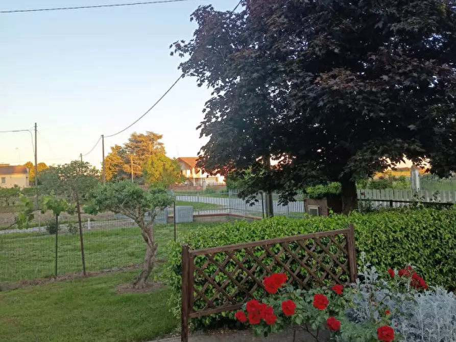 Immagine 34 di Casa bifamiliare in vendita  a Lusia
