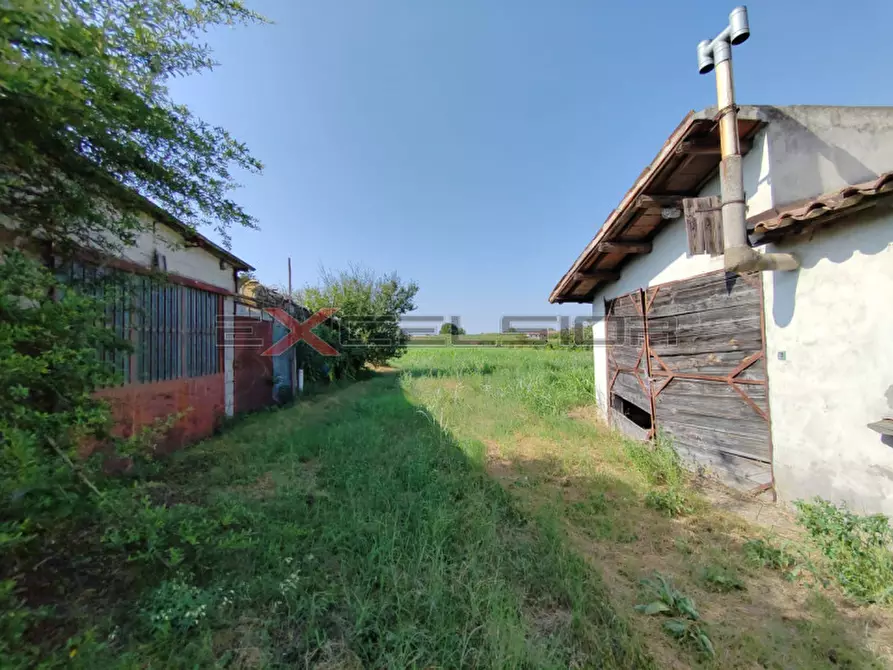 Immagine 5 di Rustico / casale in vendita  in Via G. Matteotti n. 20 bis - Cavarzere (VE) a Pettorazza Grimani