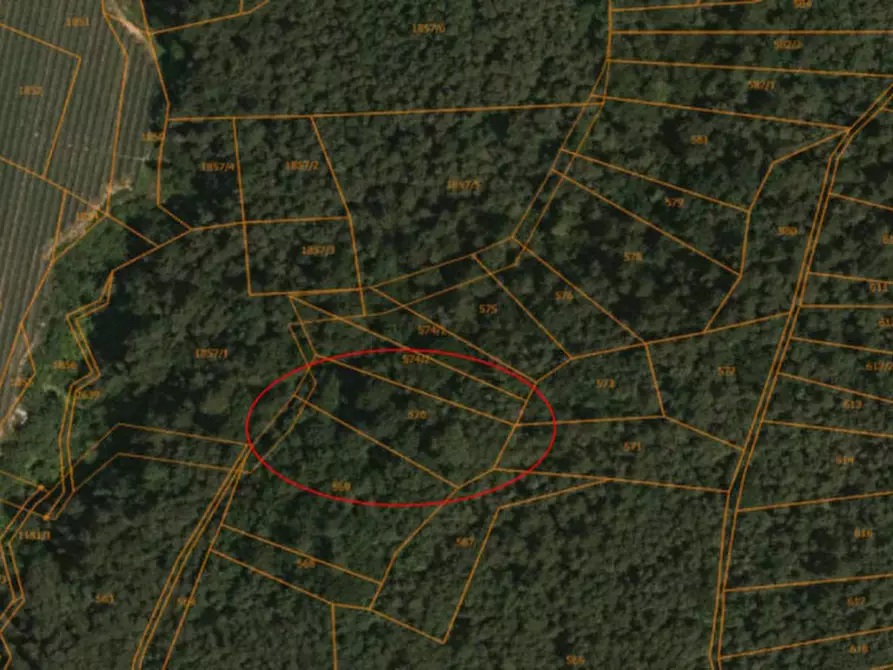 Immagine 2 di Terreno in vendita  in Predaia, Tres a Predaia