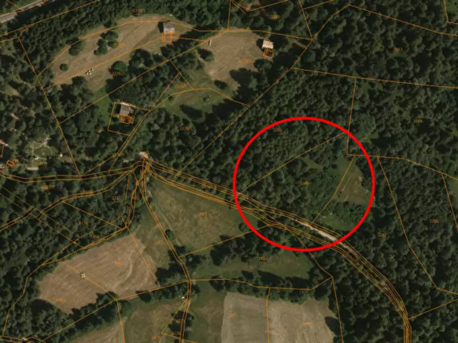 Immagine 3 di Terreno in vendita  in Predaia, Tres a Predaia