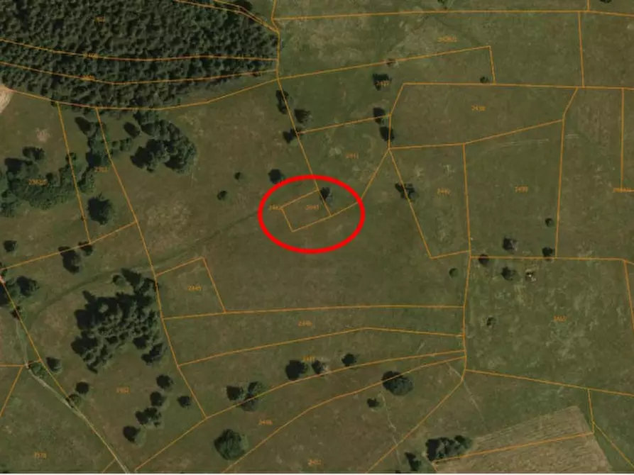 Immagine 4 di Terreno in vendita  in Predaia, Tres a Predaia