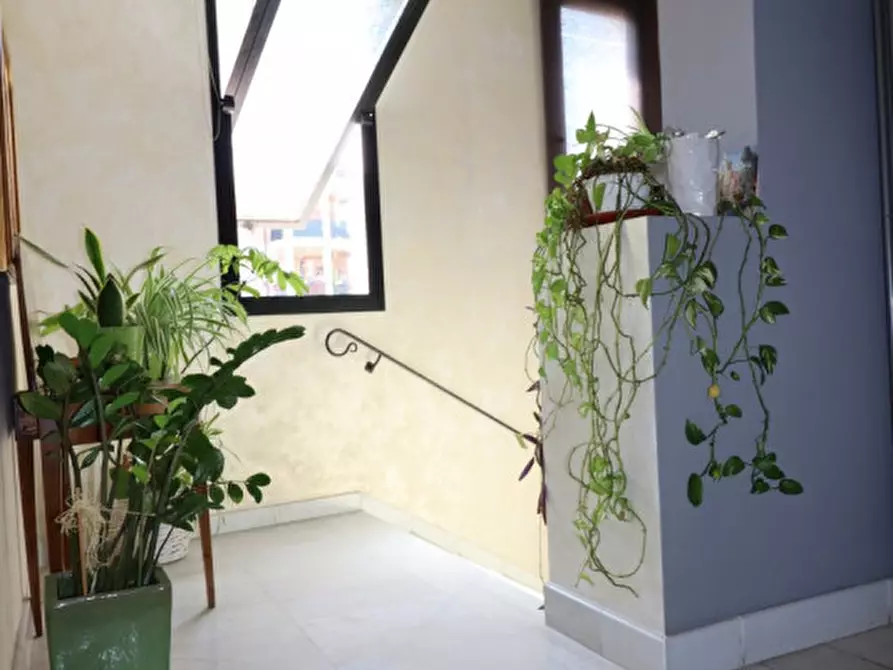 Immagine 20 di Casa bifamiliare in vendita  in viale Matteotti a Montevarchi