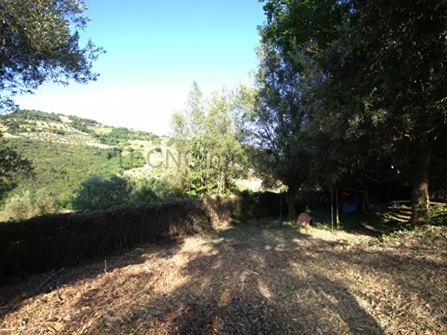 Immagine 58 di Villa in vendita  in Strada di Casamanza a Perugia