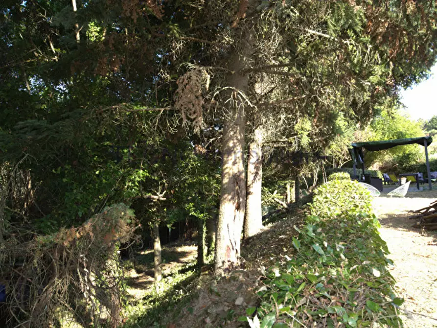 Immagine 59 di Villa in vendita  in Strada di Casamanza a Perugia