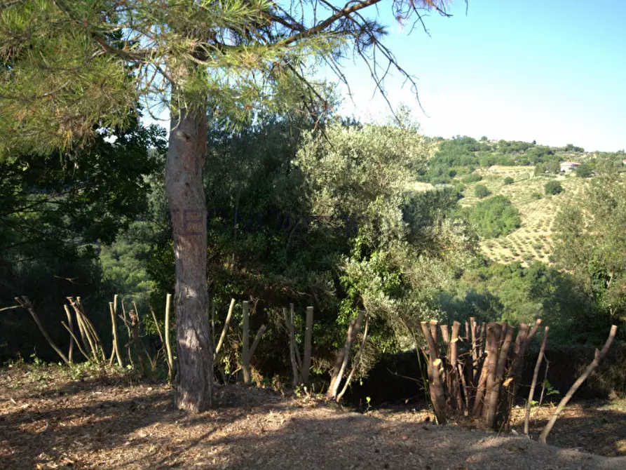 Immagine 60 di Villa in vendita  in Strada di Casamanza a Perugia