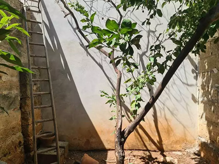 Immagine 27 di Appartamento in vendita  in VIA GAETANO VINCI a Parabita