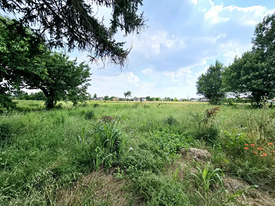 Immagine 4 di Casa indipendente in vendita  in VIA CANEVARE a Ospedaletto Euganeo