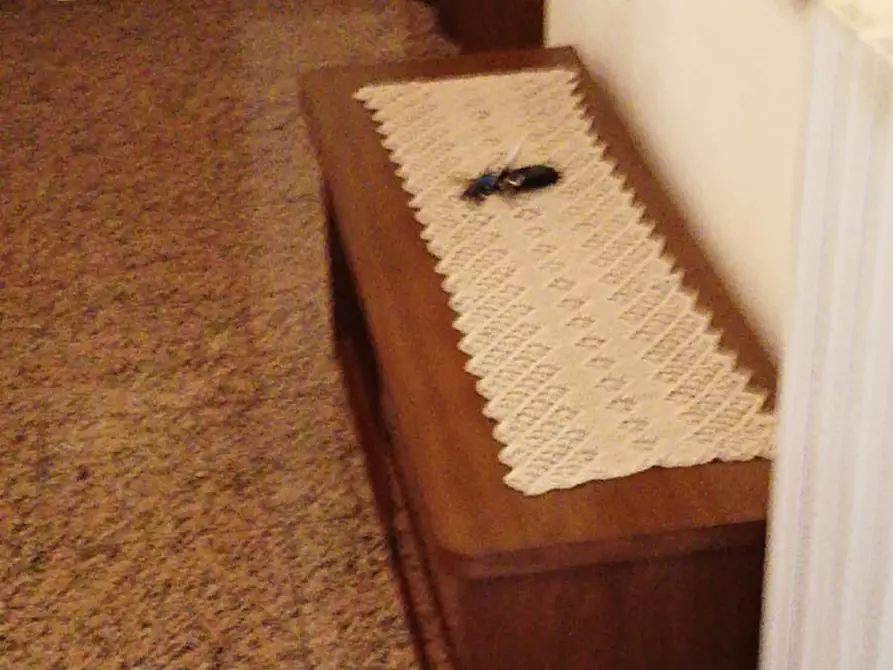 Immagine 17 di Appartamento in vendita  in VIA CASTELLI N. 4 a Grezzana