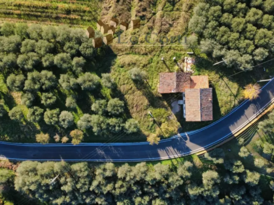 Immagine 5 di Rustico / casale in vendita  a Nanto