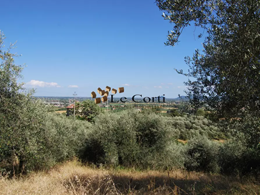 Immagine 14 di Rustico / casale in vendita  a Nanto