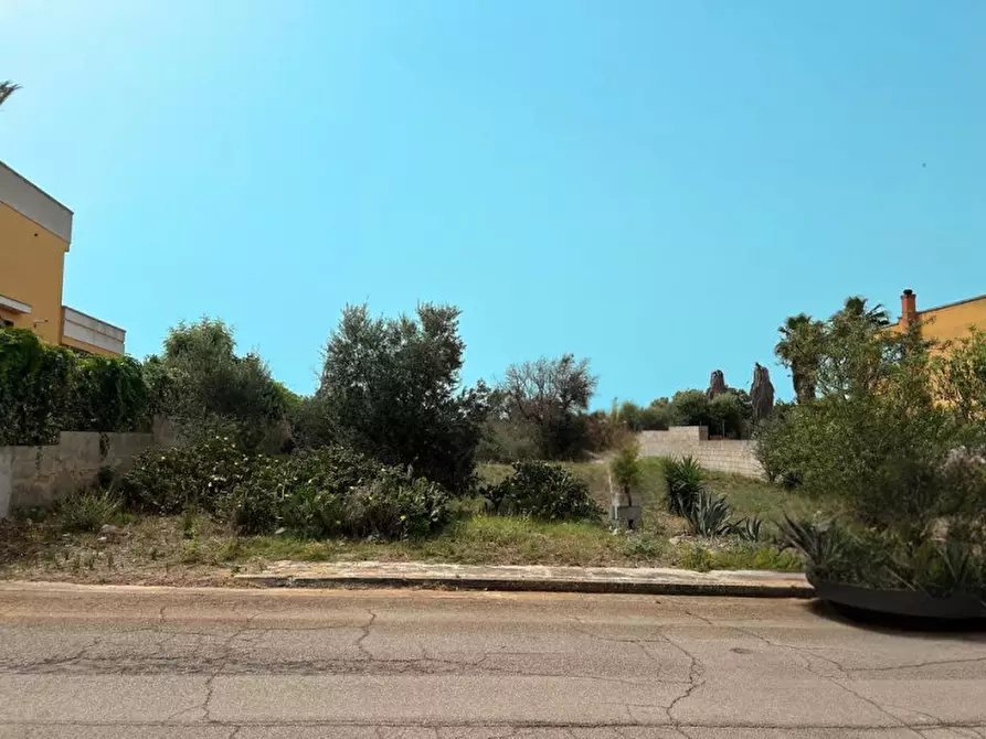 Immagine 1 di Terreno in vendita  in Via Cimabue a Matino