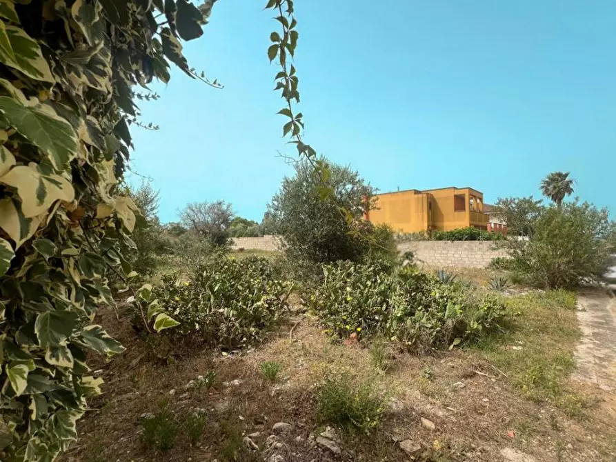 Immagine 3 di Terreno in vendita  in Via Cimabue a Matino