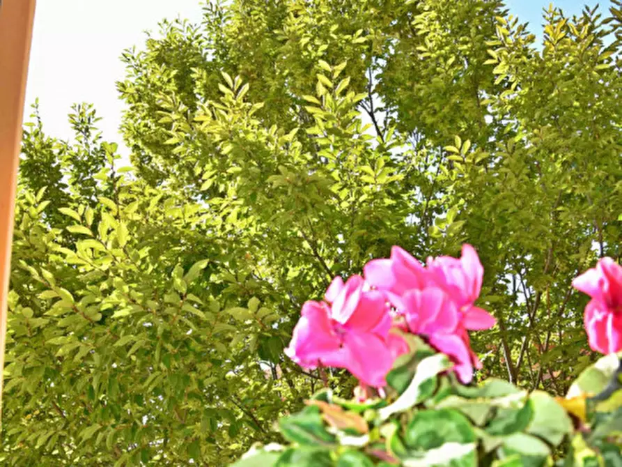 Immagine 67 di Appartamento in vendita  in via filippo corridoni a Medicina