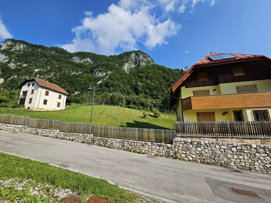 Immagine 4 di Casa indipendente in vendita  in Via Rivoli Bianchi 20 a Forni Avoltri