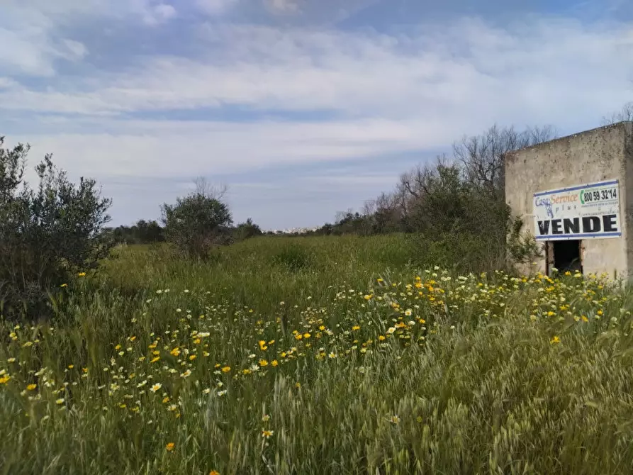 Immagine 1 di Terreno in vendita  in SP Alezio-Sannicola a Sannicola