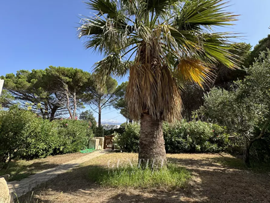 Immagine 23 di Appartamento in vendita  a Arzachena