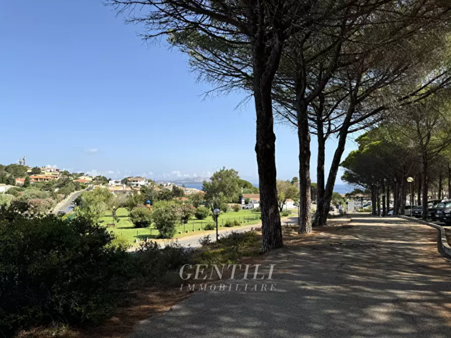 Immagine 26 di Appartamento in vendita  a Arzachena