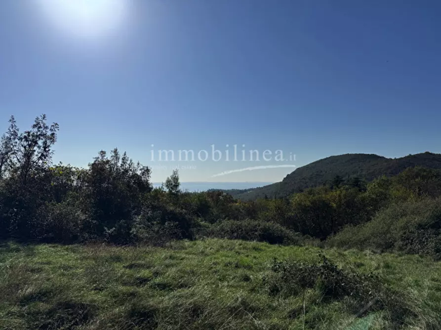 Immagine 9 di Hotel in vendita  in Zel a Costermano sul Garda