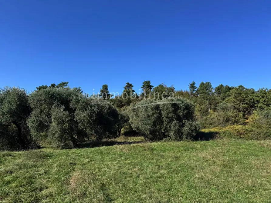 Immagine 12 di Hotel in vendita  in Zel a Costermano sul Garda