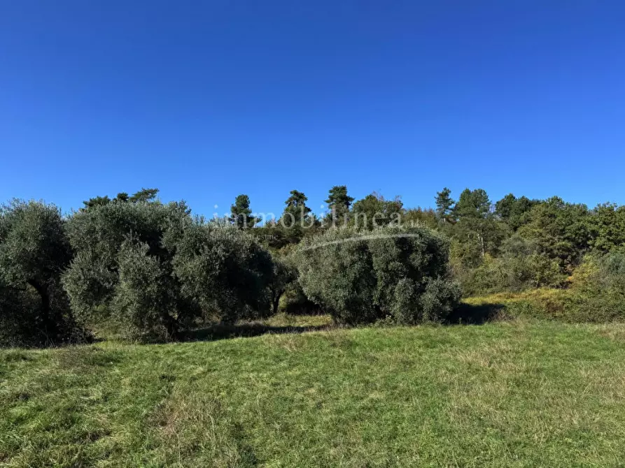 Immagine 12 di Hotel in vendita  in Zel a Costermano sul Garda