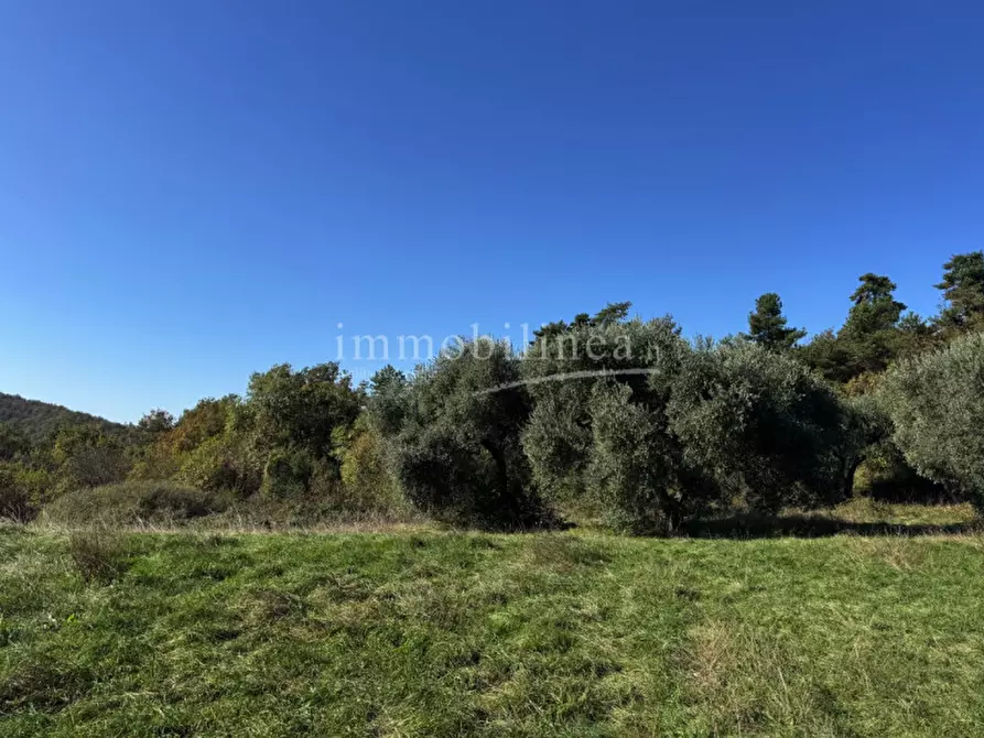 Immagine 13 di Hotel in vendita  in Zel a Costermano sul Garda